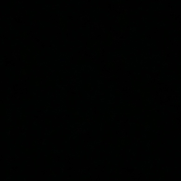 Meet your Posher, Lisa - Picture 1 of 1